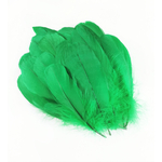 plume nageoire doie vert
