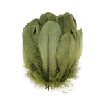 plume nageoire d'oie militaire