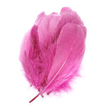 plume nageoire doie rose horthensia