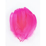 plume nageoire doie rose fluo