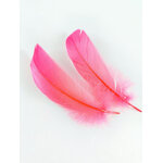 plume nageoire doie rigide corail fluo