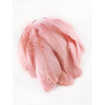 plume nageoire d'oie rose poudre
