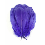 plume nageoire doie rigide violet