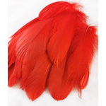plume nageoire doie rouge