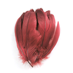 plume nageoire d'oie rigide rubis