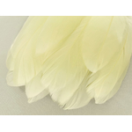 plume nageoire doie grande jaune pastel