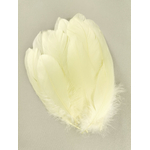 plume nageoire d'oie jaune pastel