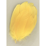 plume nageoire doie safran