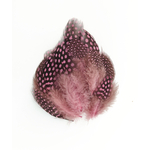 plume de pintade rose buvard