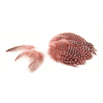 plume de pintade legere rose indien