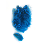 plume de pintade bleu turquoise