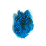 plume de pintade turquoise