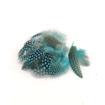 plume de pintade bleu lagon de qualite