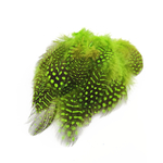 plume de pintade vert vif de qualite