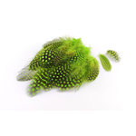 plume de pintade vert vif