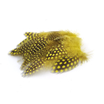 plume de pintade jaune