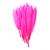 plume palette d'oie rose fluo