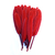 plume palette d'oie rouge