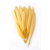 plume palette d'oie rigide mais