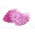 plume autruche mini rose horthensia