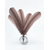 plume palette de dinde rigide sepia