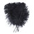plume petite autruche noir legere