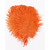 plume petite autruche orange raide