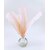 plume palette de dinde rose poudre rigide