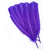 plume palette dinde grande rigide violet