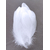 plume palette de dinde petite blanc