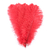 plume autruche souple rouge jolie