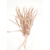 frange plume biot d'oie sable raide
