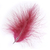 plume dinde marabout rubis