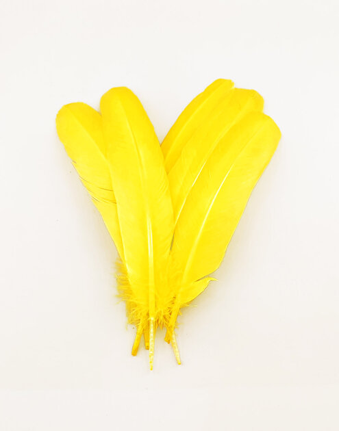 MWOOT Lot De 400 Plumes Naturelles Pour Bricolage - 4 Styles Assortis Jaune Et Autres Couleurs, 7-15 Cm, Idéal Décoration Artisanat Coiffure Mariage Noël