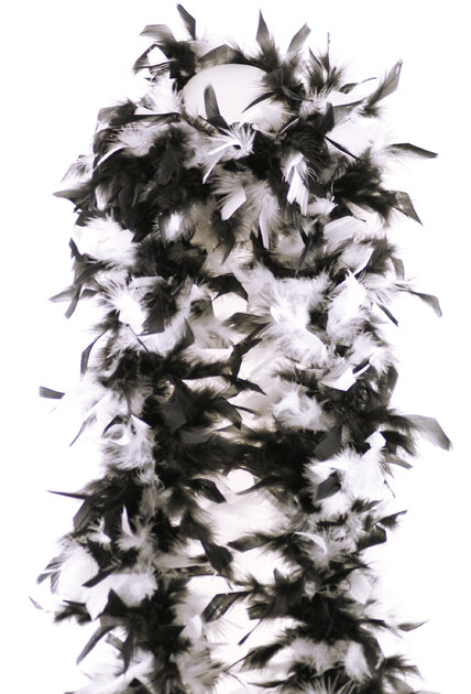 Boa De Plumes Blanc - Longueur 20-30 Mm, Rouleau De 10 Mètres, Pour Costumes, Déco, Loisirs Créatifs