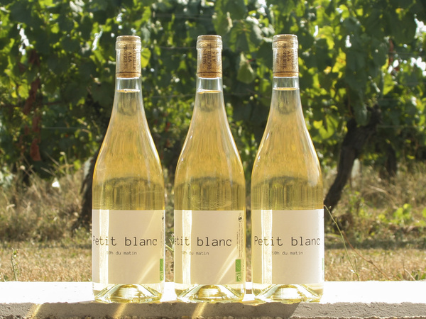Petit Blanc 3