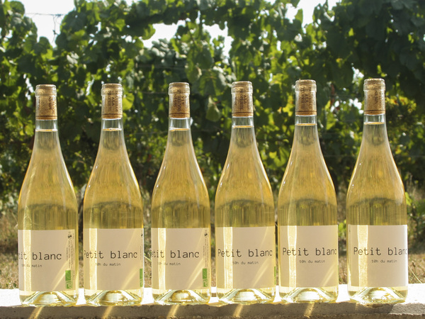 Petit Blanc 6