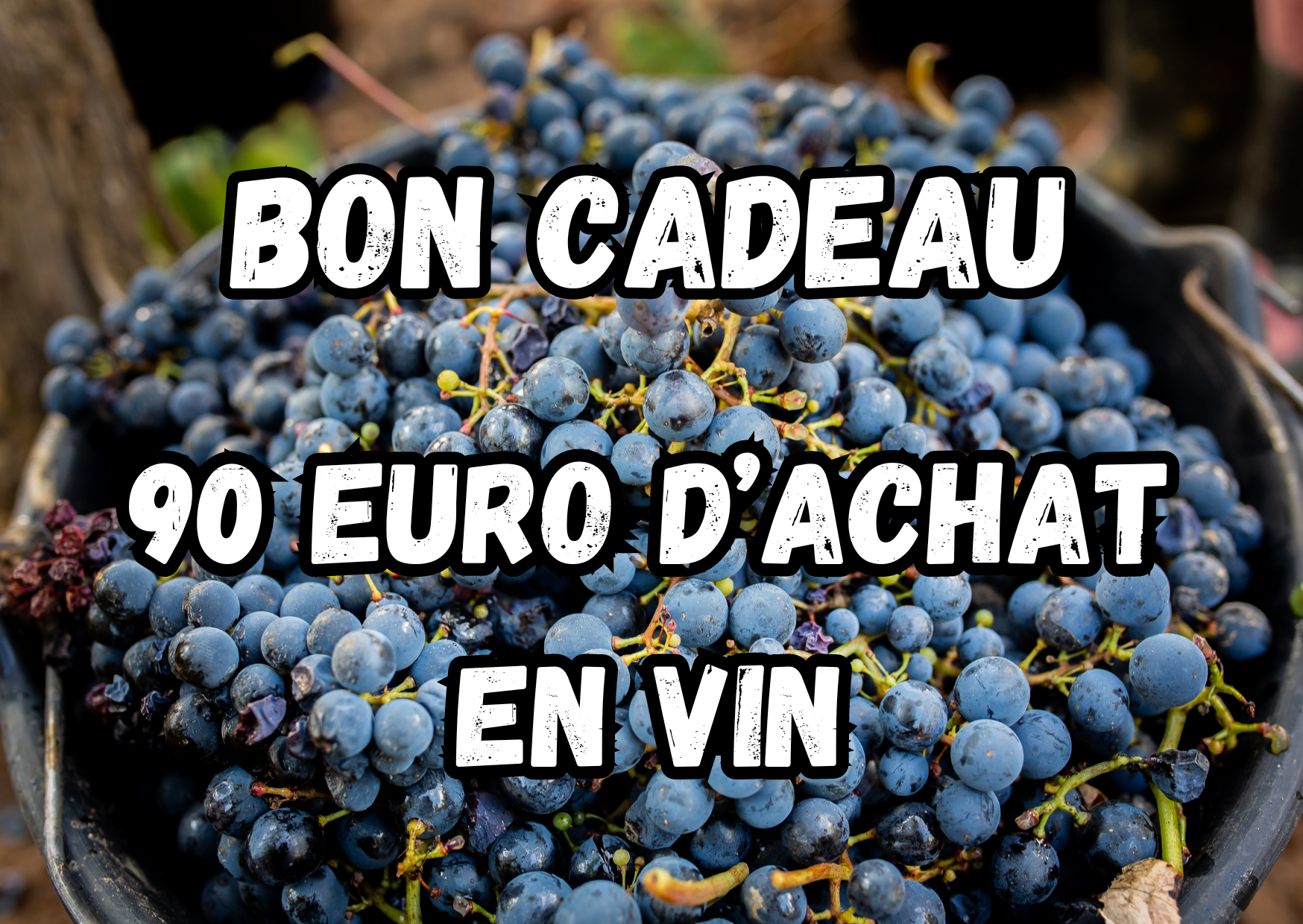 bon cadeau 90 (1)