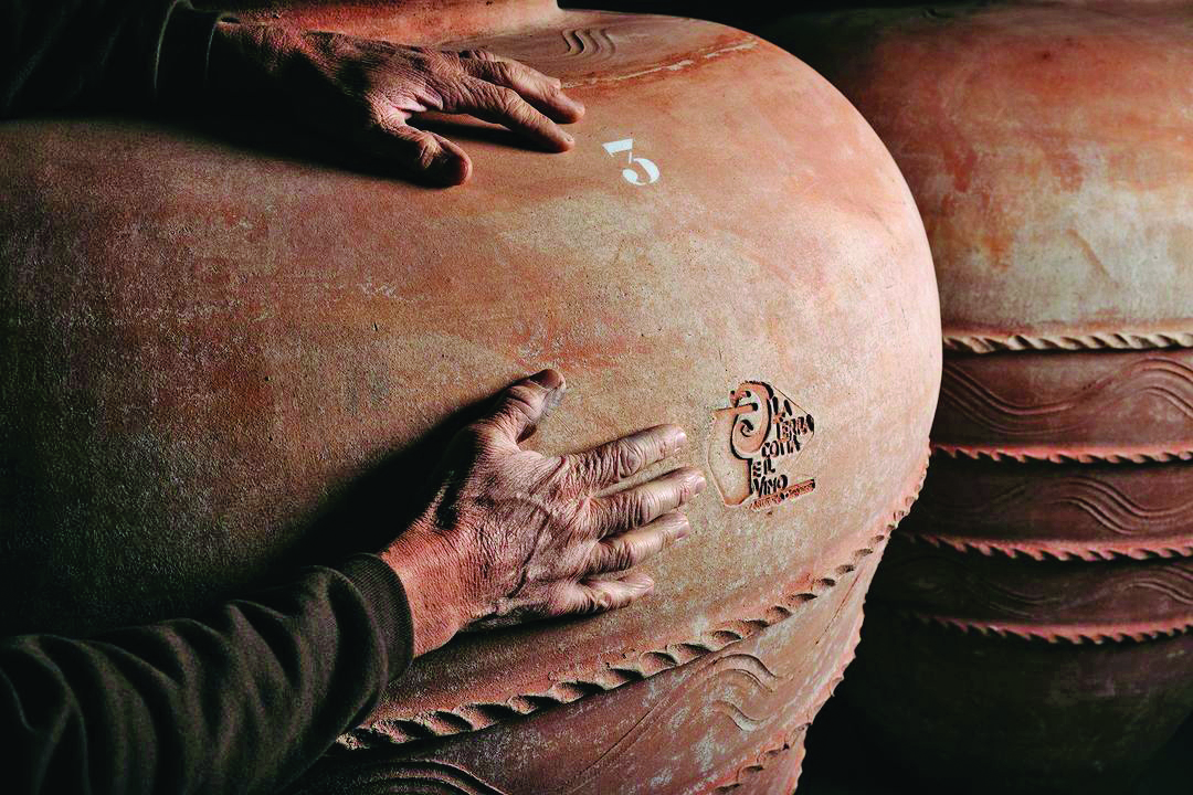 La dégustation des vins au domaine