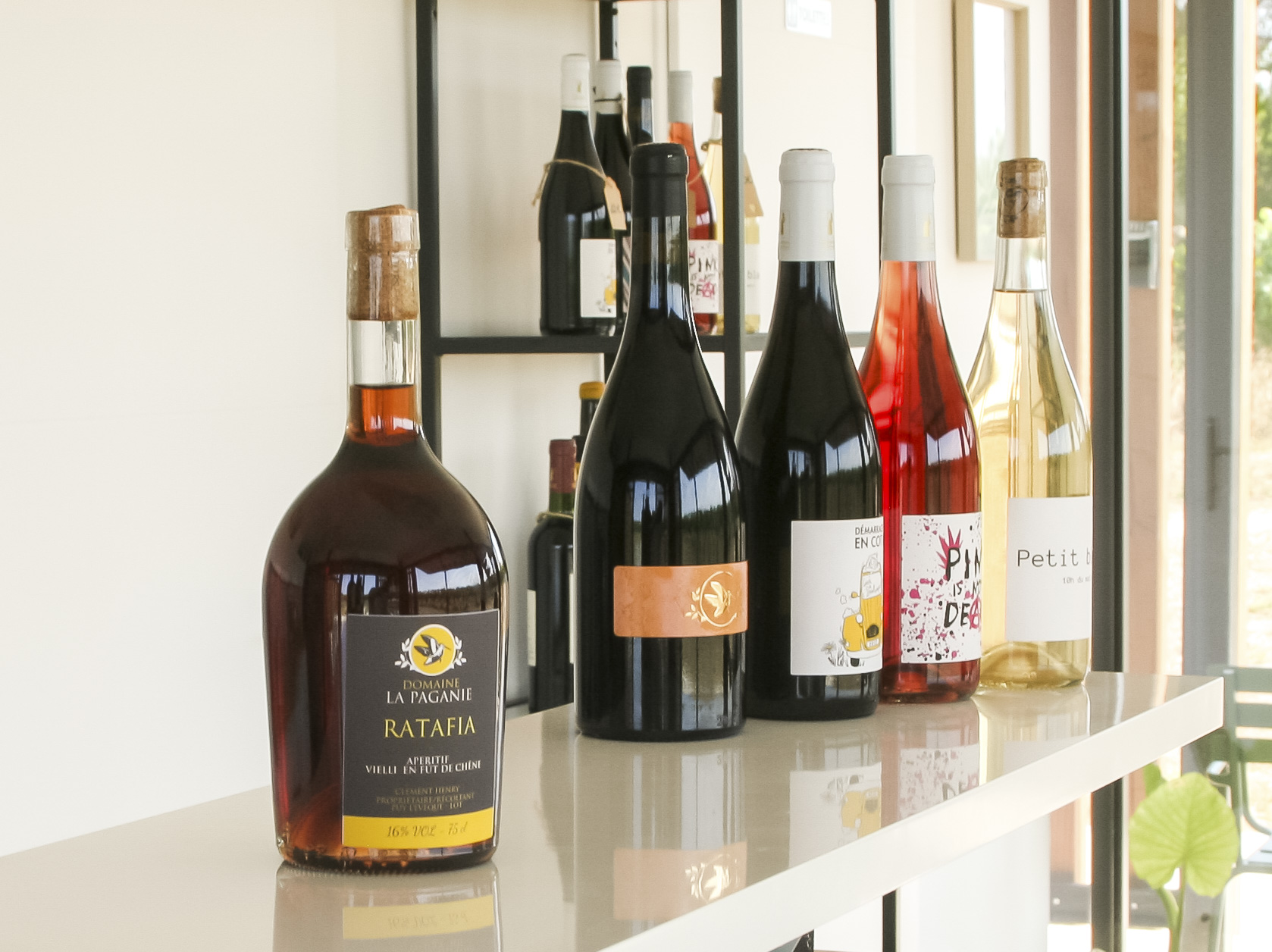 Dégustation des vins du Domaine La Paganie au caveau