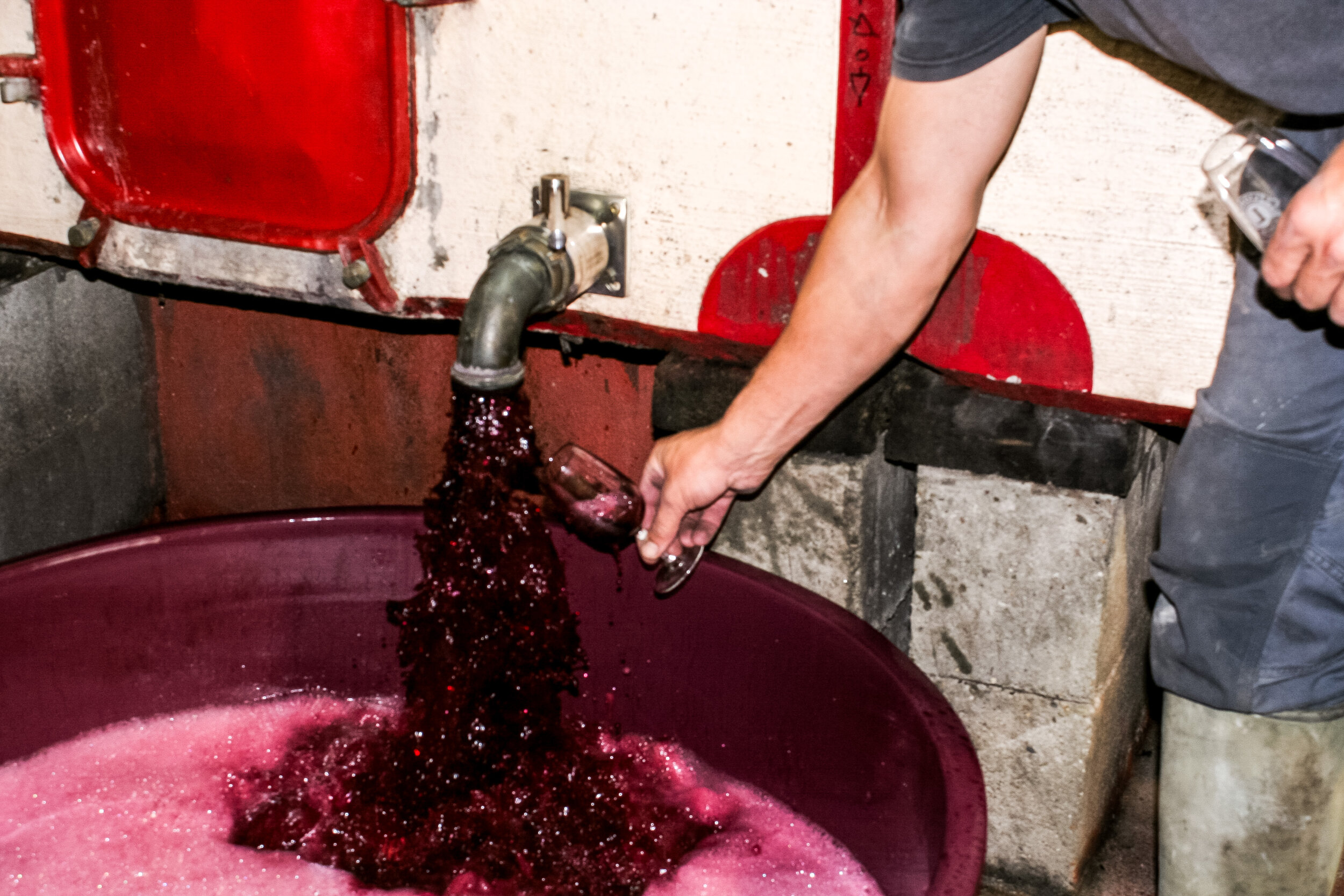 La vinification au Domaine La Paganie