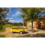 DOMAINE_LA_PAGANIE_SHOOTING_10_2025_IVONIS_DRONE_WEB-7