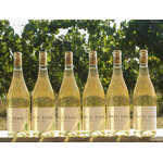 Petit Blanc 6
