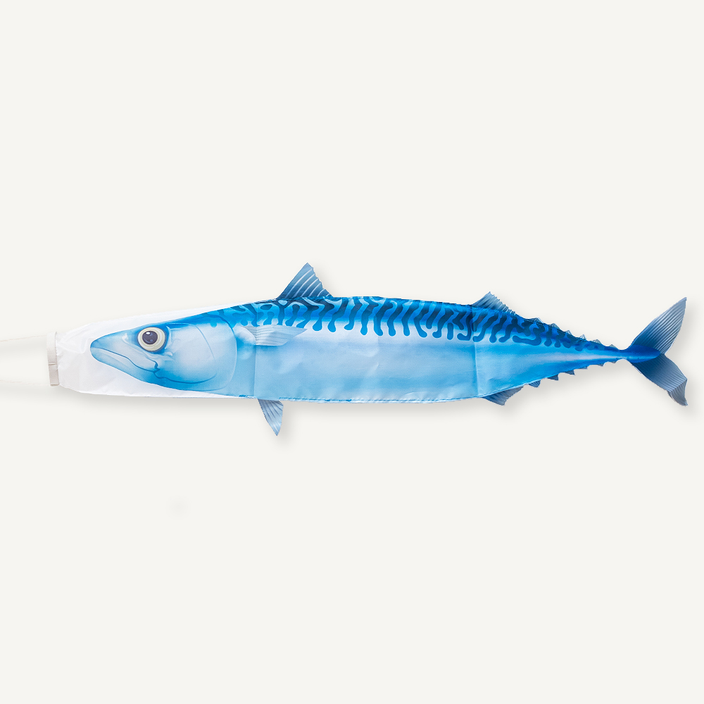 manche-à-air-poisson-maquereau-bleu