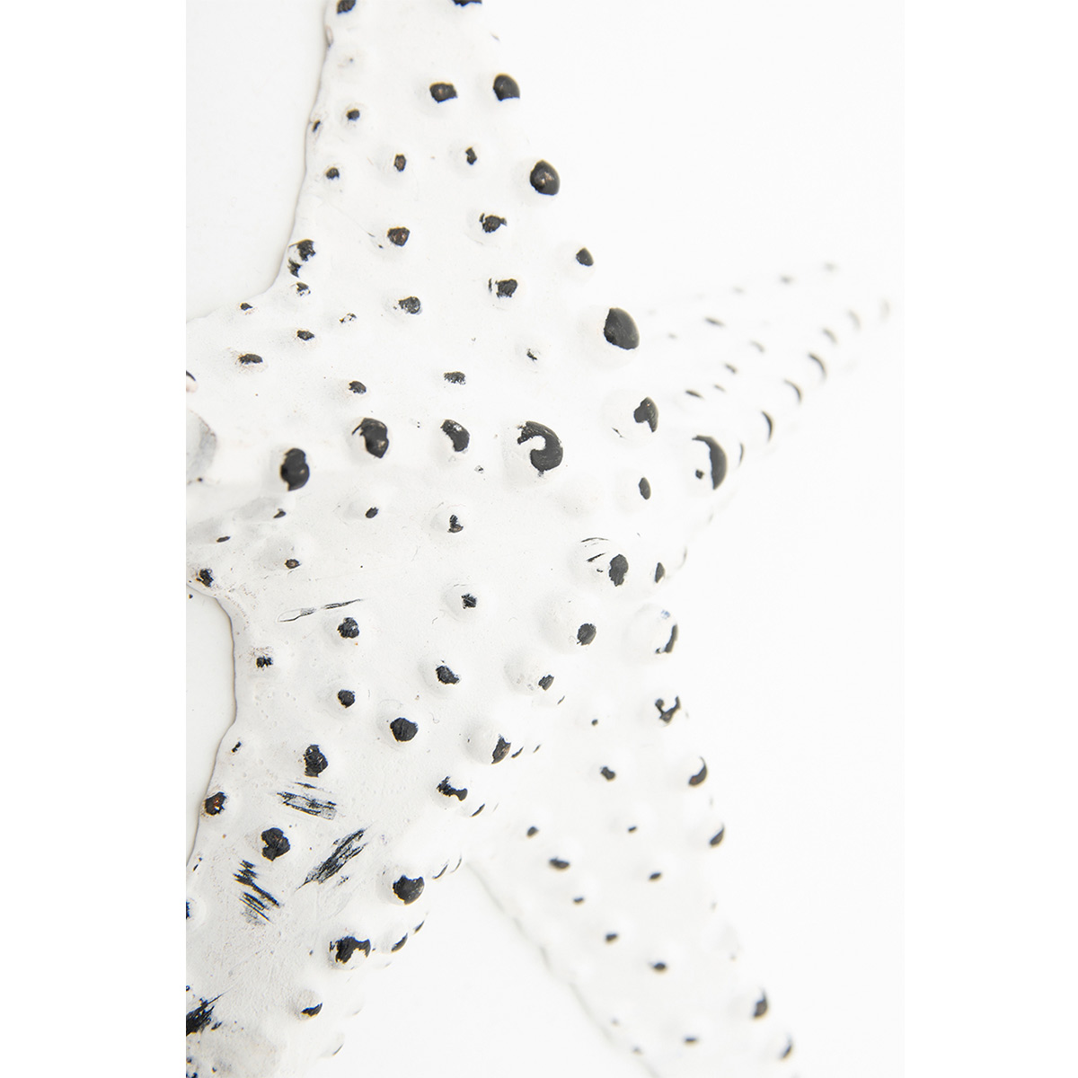patere-etoile-de-mer-blanche