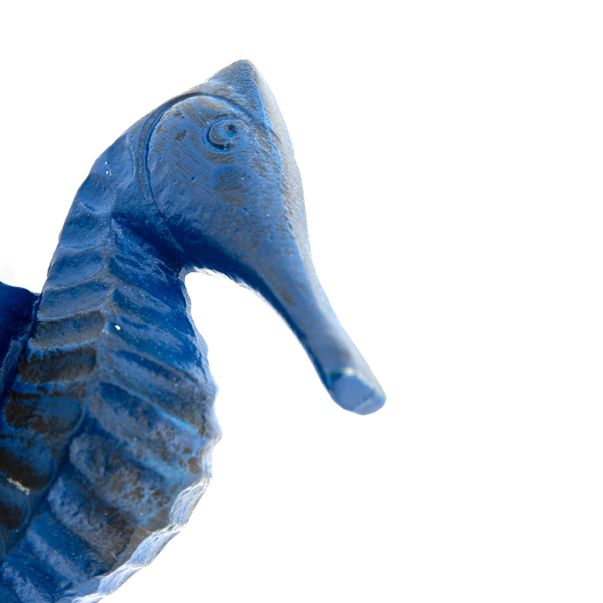 patere-hippocampe-moderne