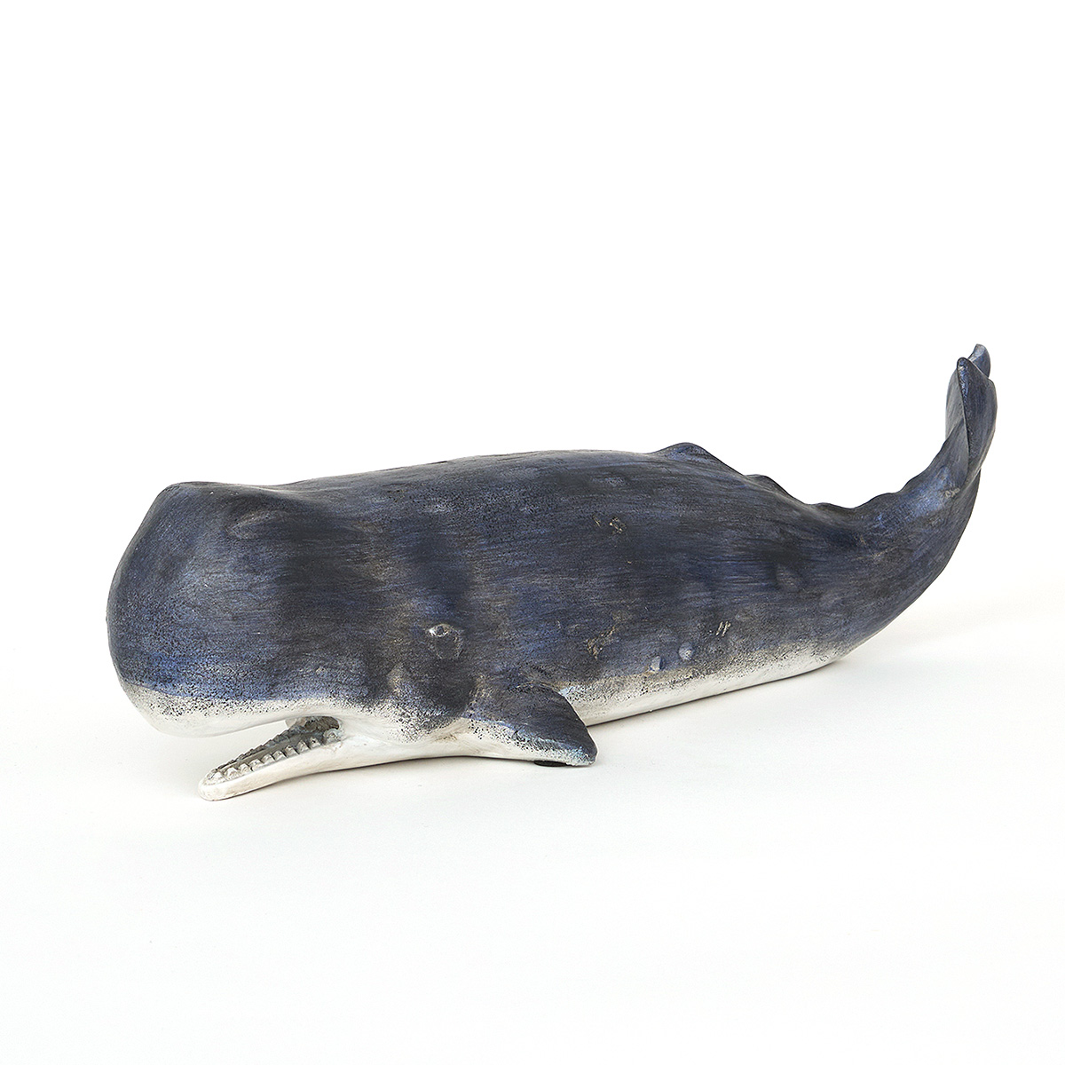 Cachalot bleu nuit et blanc