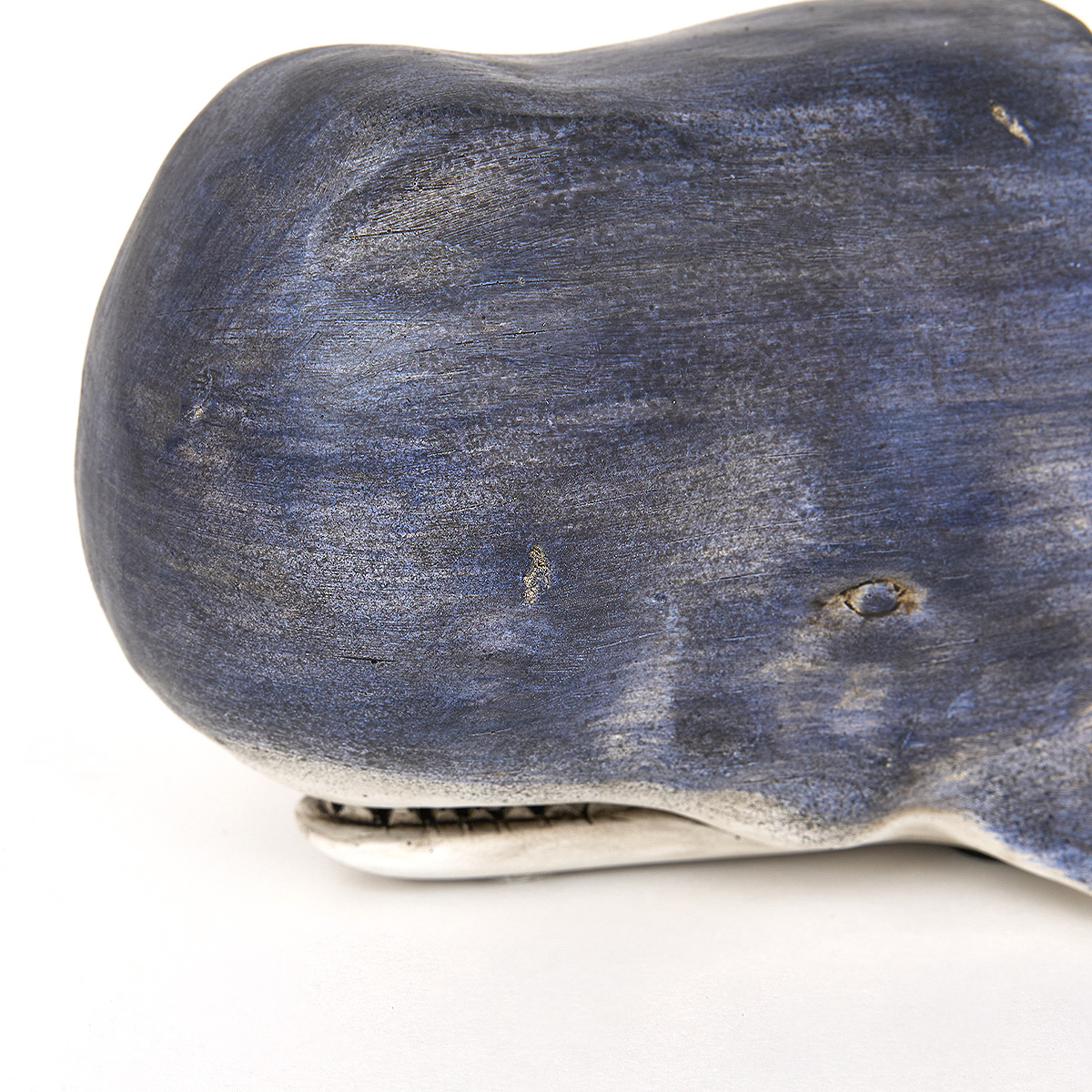 serre-livre-baleine