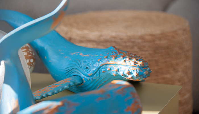 https://www.balen.fr/baleine/s/baleine/