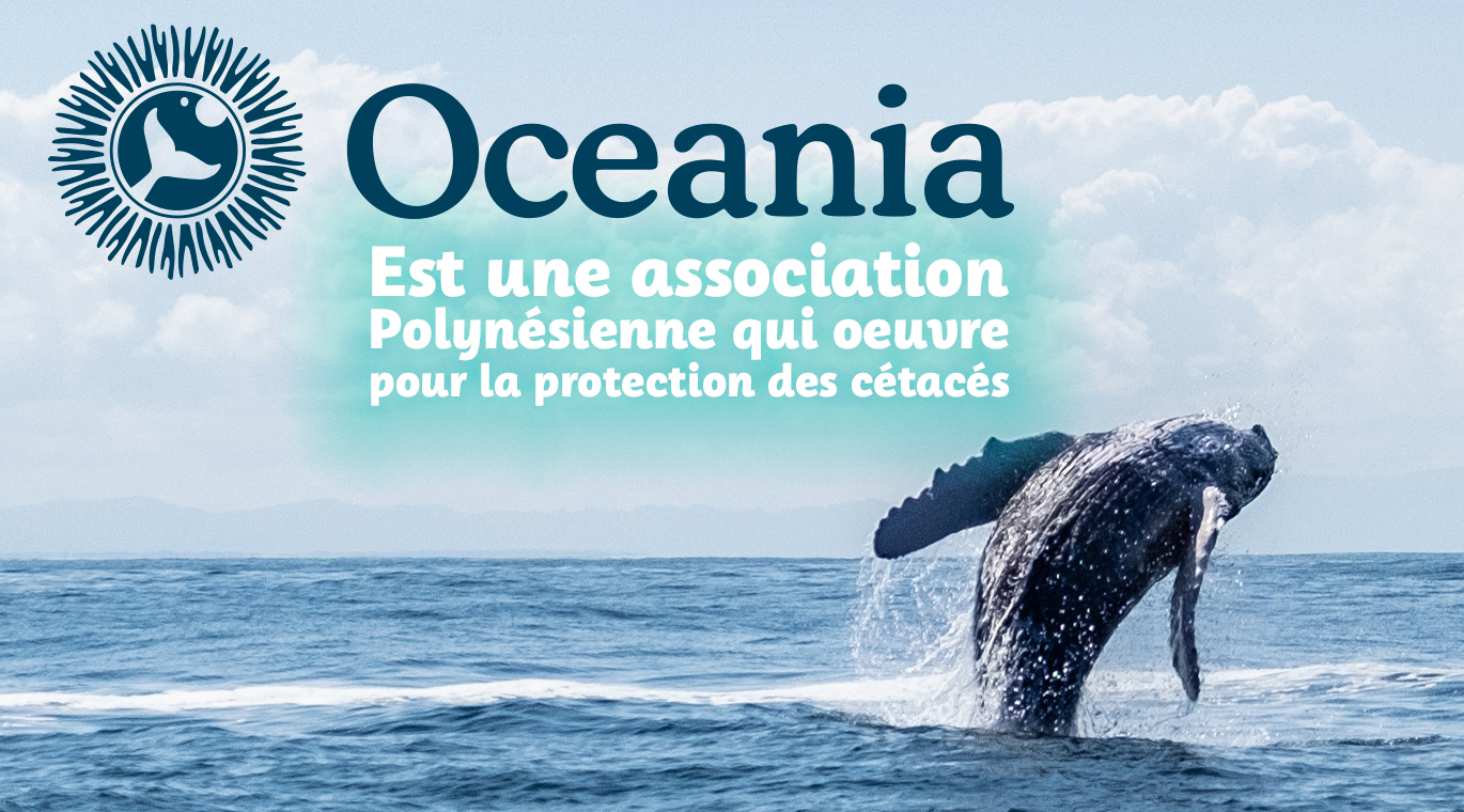 baleine